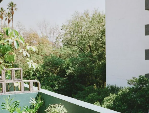 Hotel San Fernando hotel detail image 2