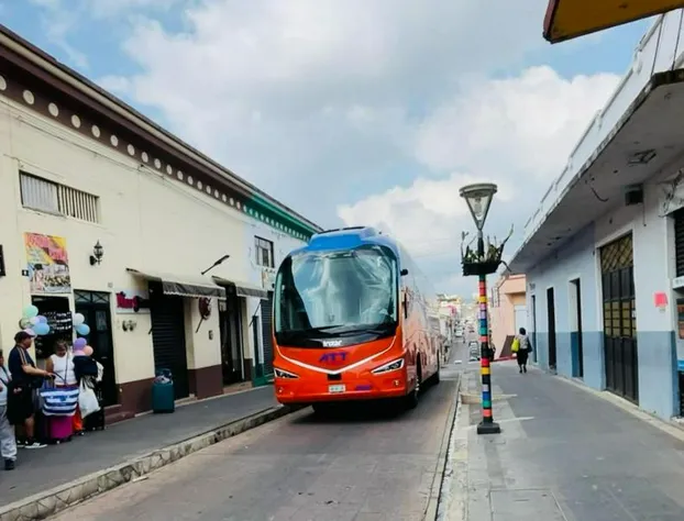 Hotel Edelmira hotel detail image 4