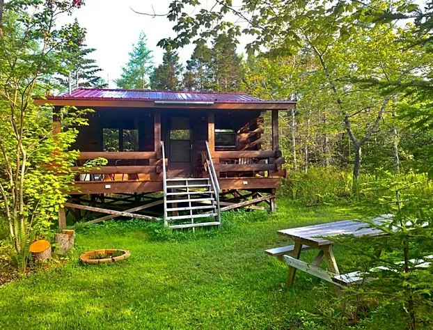 Vipilodge hotel detail image 1