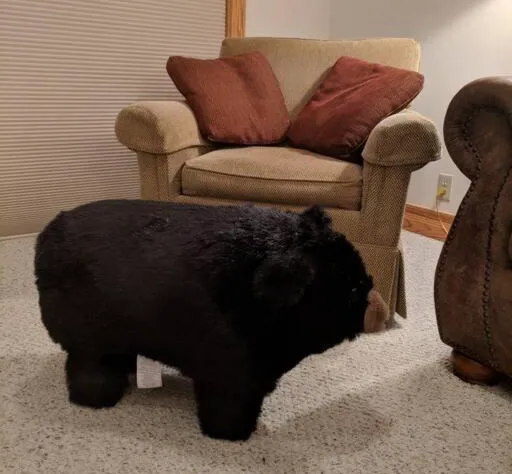 Targhee Rentals 414 Teton Creek Resort Driggs ID hotel detail image 3