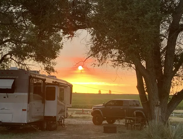 Meadow Park Motel on 385 hotel detail image 1