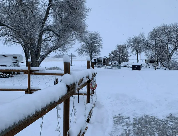 Meadow Park Motel on 385 hotel detail image 2