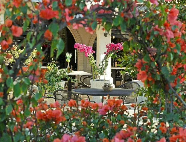 Hotel del Rio hotel detail image 3