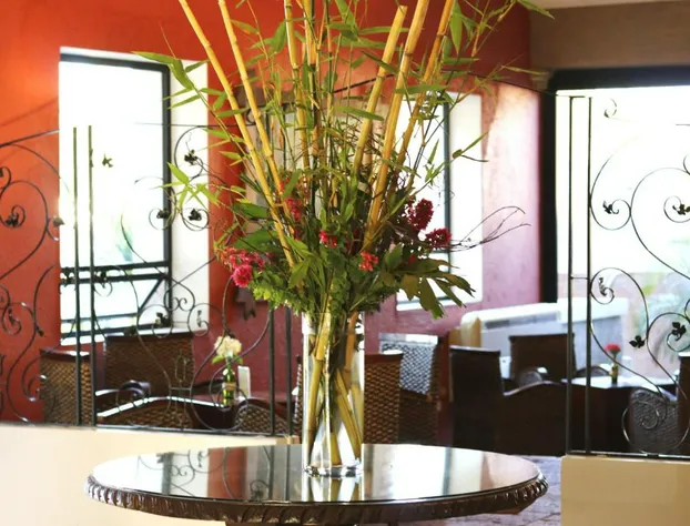 Hotel del Rio hotel detail image 3