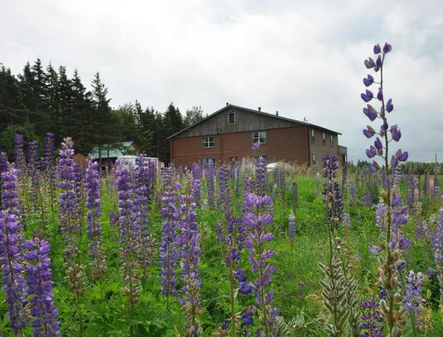 Powley's Wild Goose Lodge hotel detail image 3