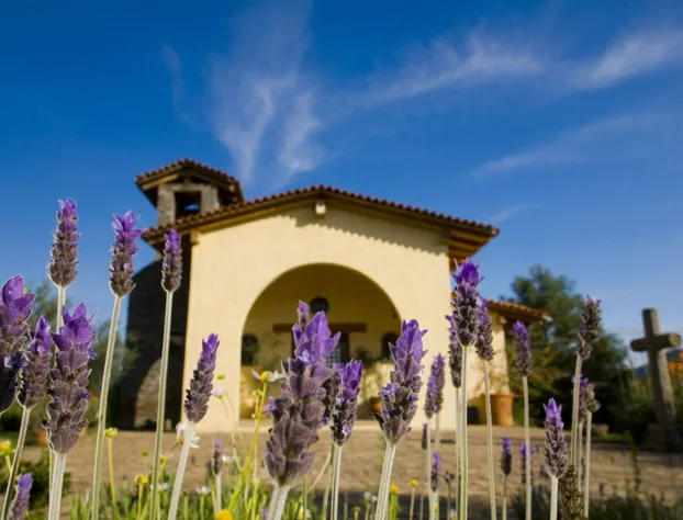 San Bernardo Hotel & Spa en la Montana hotel detail image 2