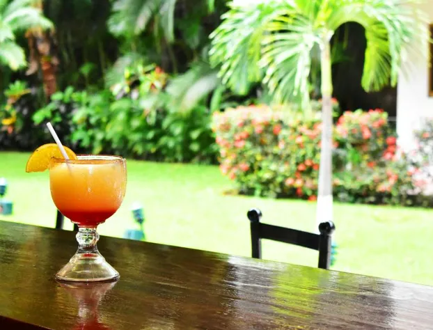 Hotel Casa Iguana Mismaloya hotel detail image 3