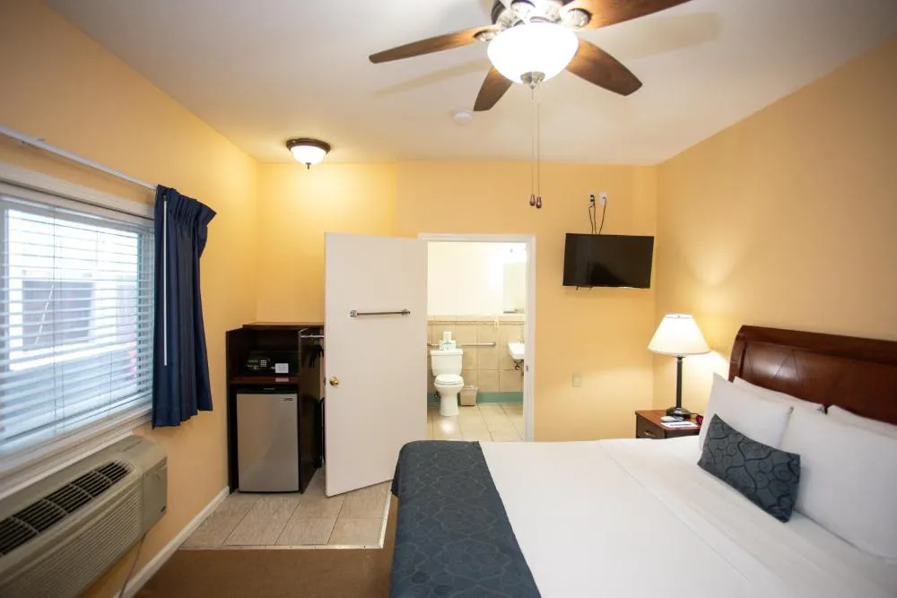 The Hotel Hollywood hotel hero