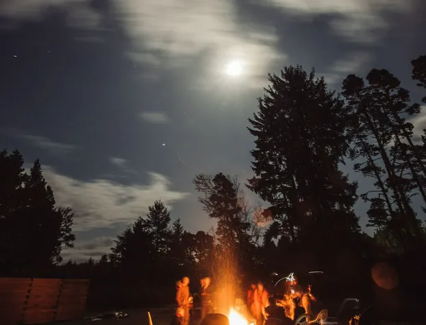 LOGE Westport hotel detail image 4