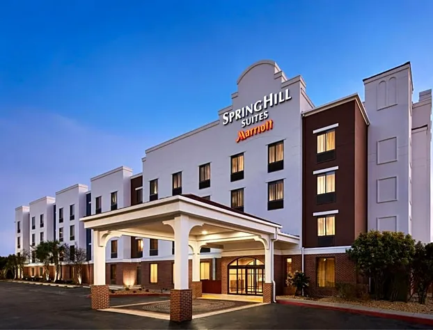 SpringHill Suites by Marriott San Antonio Downtown/Riverwalk Area hotel detail image 1