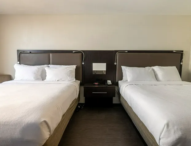 Comfort Suites North Padre Island hotel detail image 4