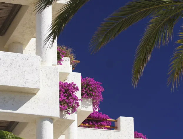 Las Ventanas al Paraiso, A Rosewood Resort hotel detail image 4
