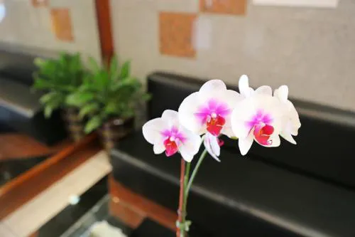 Phoenix Hotel Brooklyn Sunset Park hotel detail image 4