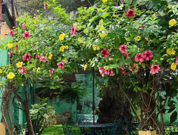 Hotel Rúah hotel detail image 3