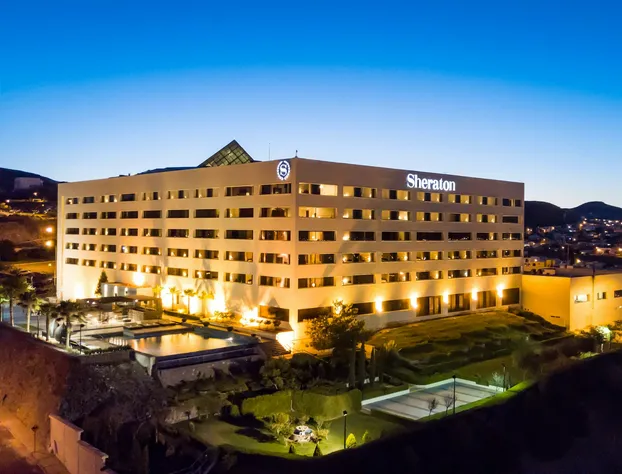 Sheraton Chihuahua Soberano hotel detail image 4