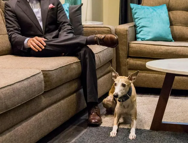 Casa Malí by Dominion hotel detail image 2