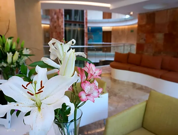 Senses Quinta Avenida By Artisan Adults Only hotel detail image 4