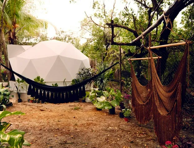 Frequency hotel detail image 2