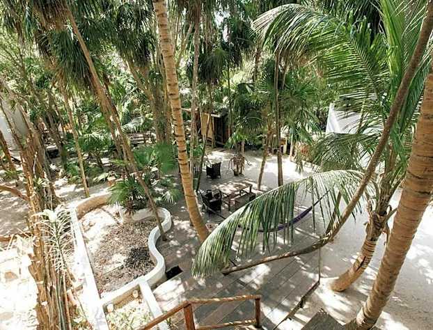 Eco.Bañitas hotel detail image 3