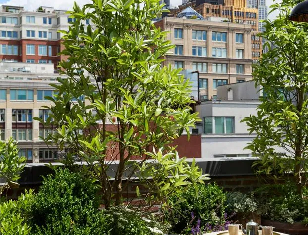 The Hotel Chelsea hotel detail image 4