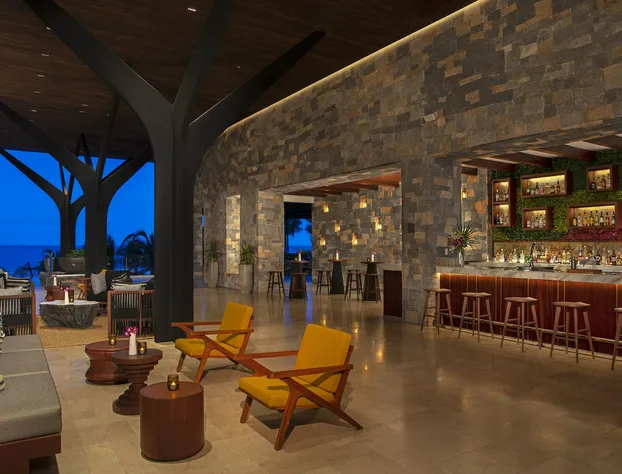 Dreams Natura Resort & Spa hotel detail image 3