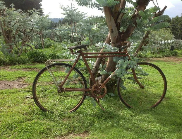 Rancho El Caballero Hotel hotel detail image 3