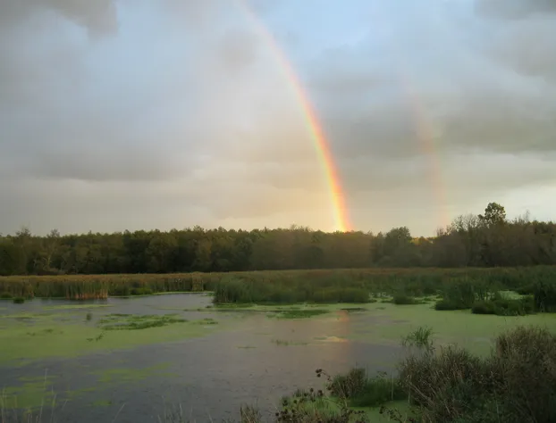Coastal Inn hotel detail image 4