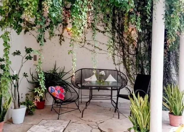 Pecari Bed and Breakfast hotel detail image 4