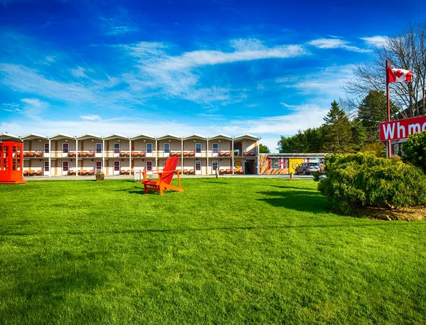 WhMotel hotel detail image 1