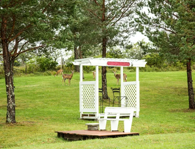 WhMotel hotel detail image 3