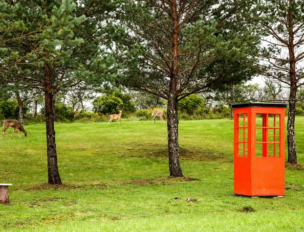 WhMotel hotel detail image 4