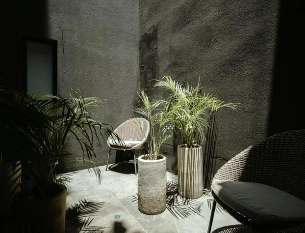 Hotel Sin Nombre hotel detail image 2