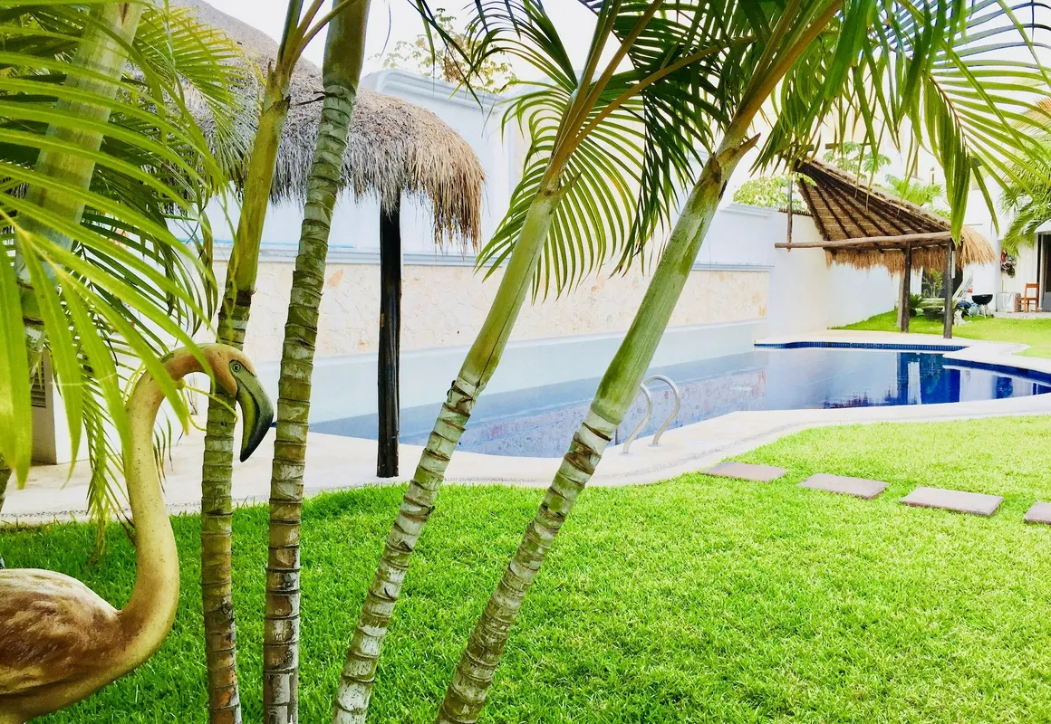 Room in B&B - Executive Comfort Room With Swimming Pool Air Conditioning and Parking hotel hero