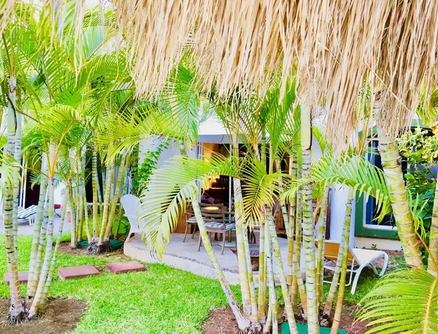 Room in B&B - Executive Comfort Room With Swimming Pool Air Conditioning and Parking hotel detail image 1