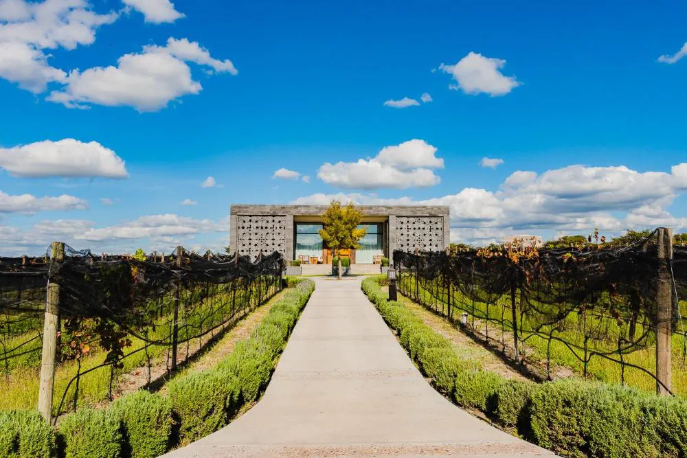 Hotel Boutique Tres Raíces hotel hero