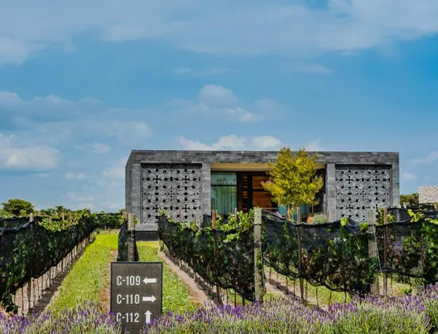 Hotel Boutique Tres Raíces hotel detail image 3