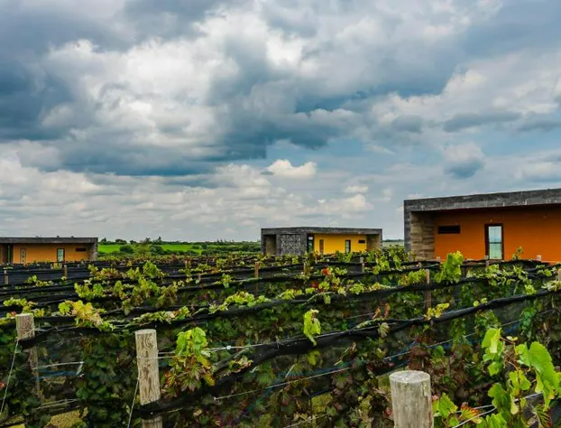 Hotel Boutique Tres Raíces hotel detail image 4