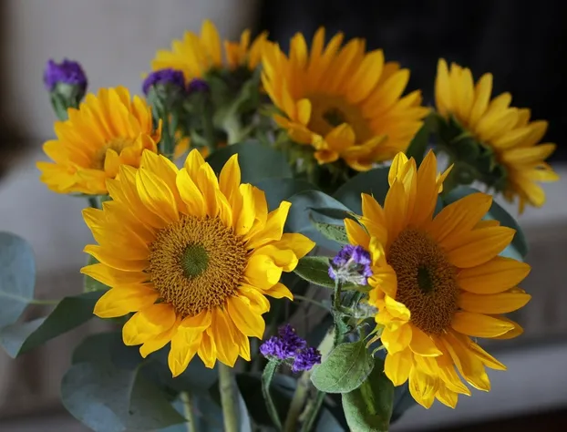 Ritz 3Br R200 hotel detail image 1