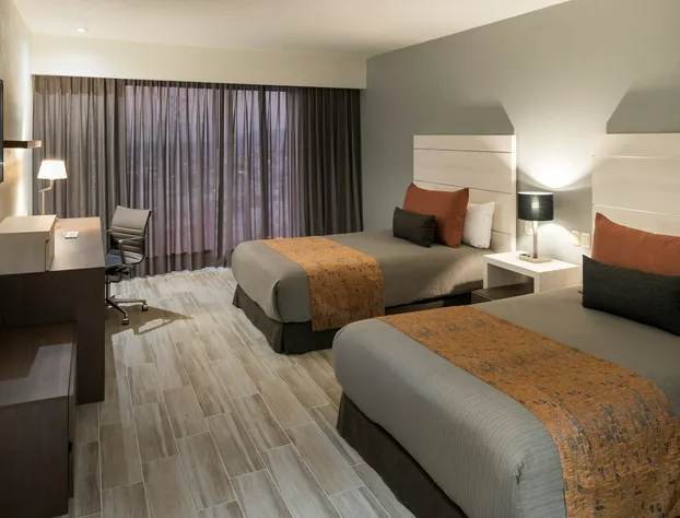 Real Inn San Luis Potosí hotel detail image 3