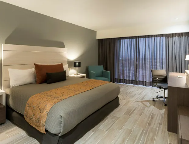 Real Inn San Luis Potosí hotel detail image 4