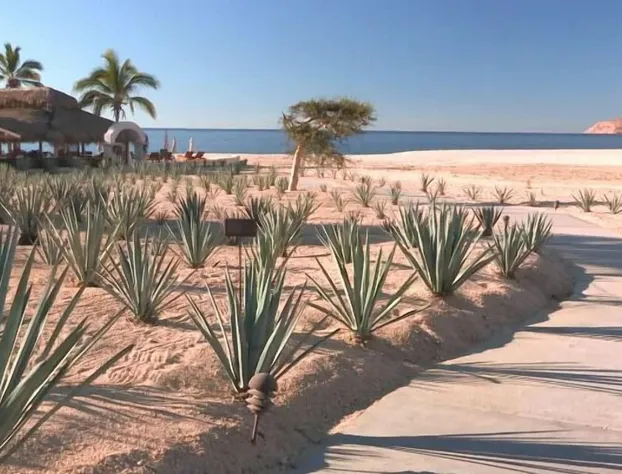 Casa del Mar Gaviota 301 hotel detail image 2
