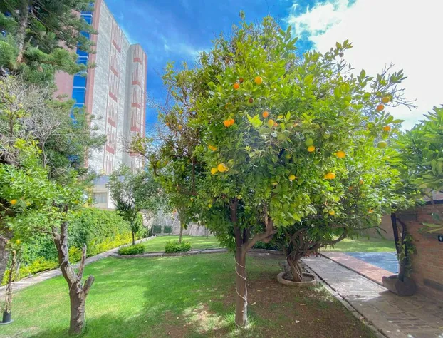 Azabu Hotel Collection hotel detail image 4