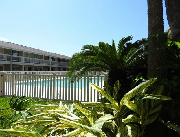 Courtyard #123 1 Bedroom Condo By Redawning hotel detail image 3