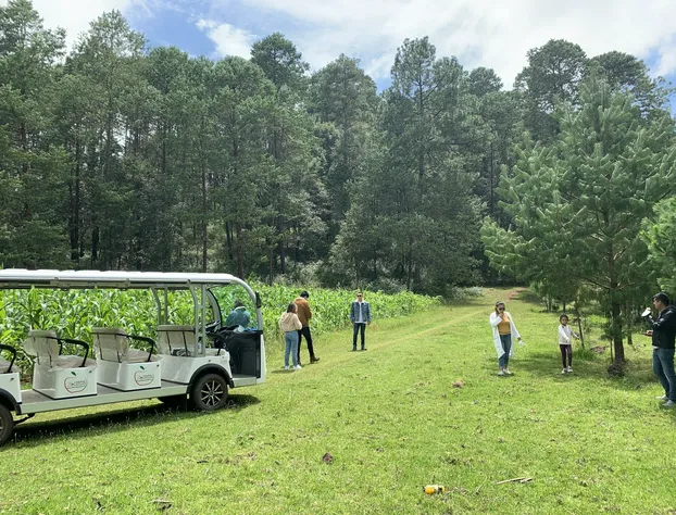 Cabañas Zacatlan hotel detail image 4