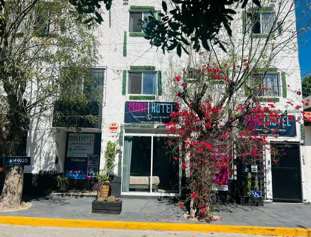 Mini Hotel | San Luis Potosí hotel detail image 2