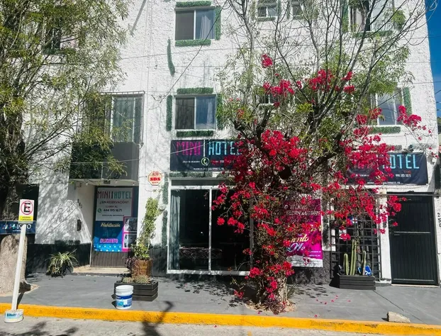 Mini Hotel | San Luis Potosí hotel detail image 4