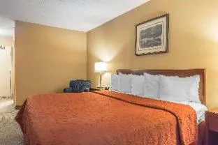 Quality Inn & Conference Centre hotel detail image 1