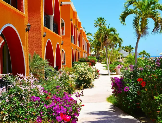 Hotel Palmas De Cortez hotel detail image 3