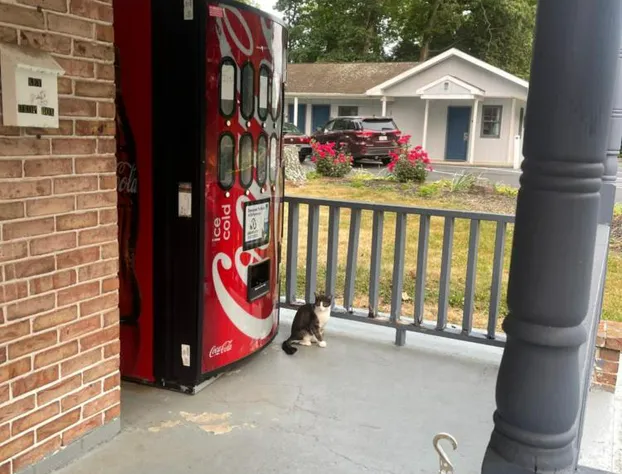 Pennswoods Inn hotel detail image 3