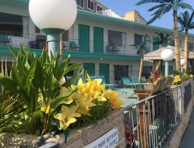 Bel Air Motel hotel detail image 1